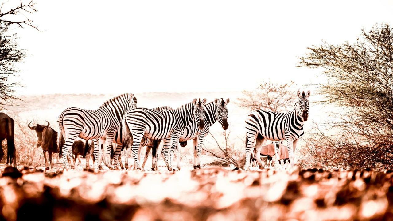 Bagatelle Kalahari Game Ranch Villa Hardap Eksteriør billede