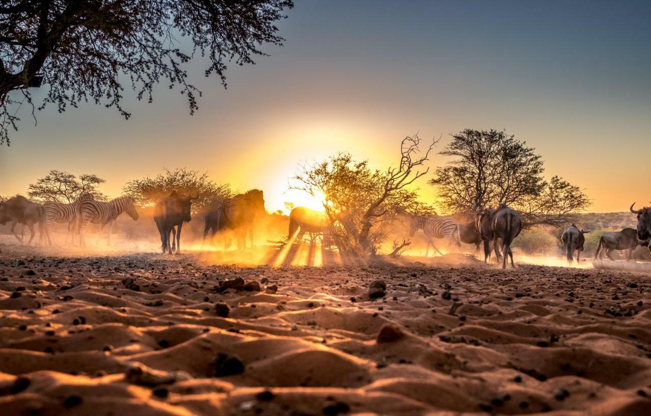 Bagatelle Kalahari Game Ranch Villa Hardap Eksteriør billede