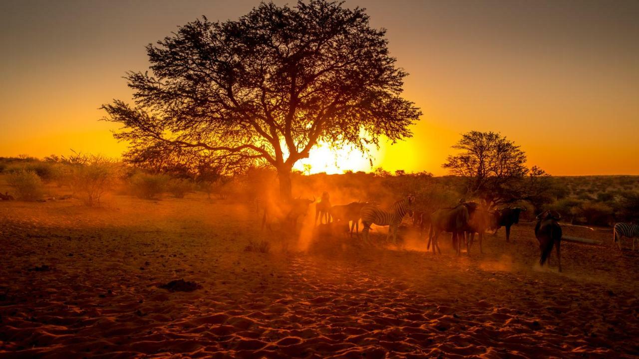 Bagatelle Kalahari Game Ranch Villa Hardap Eksteriør billede