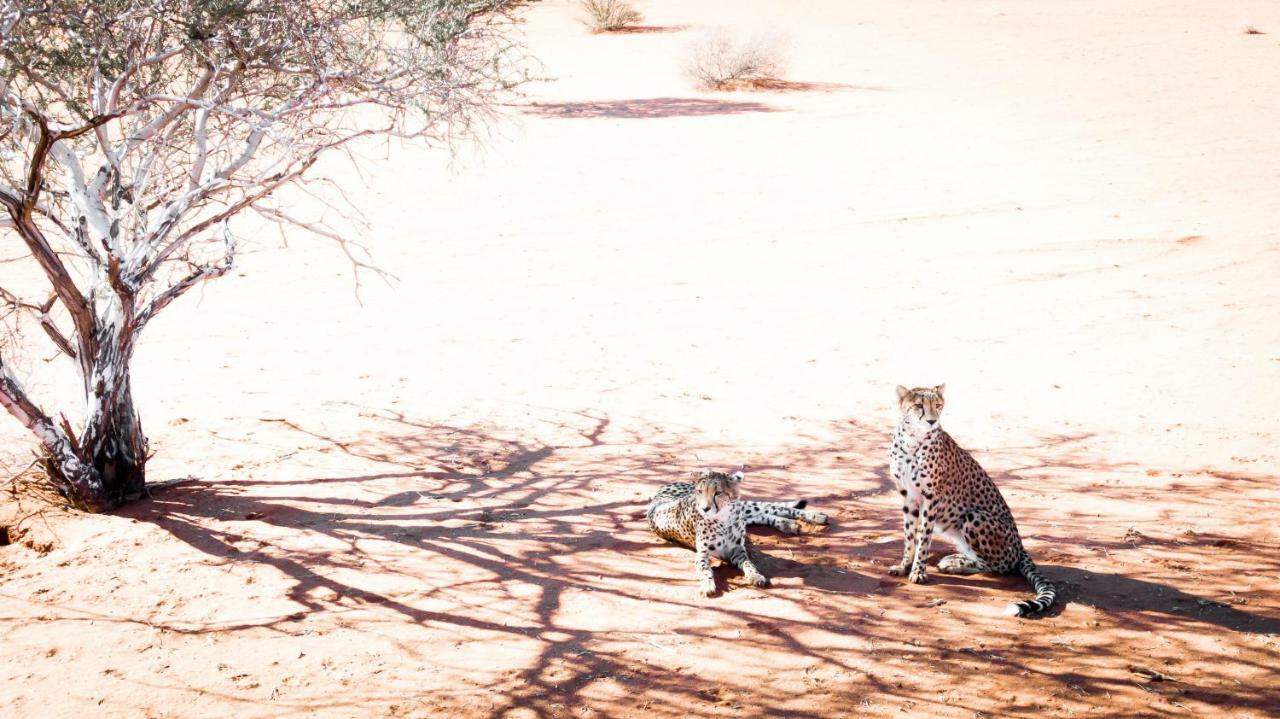 Bagatelle Kalahari Game Ranch Villa Hardap Eksteriør billede