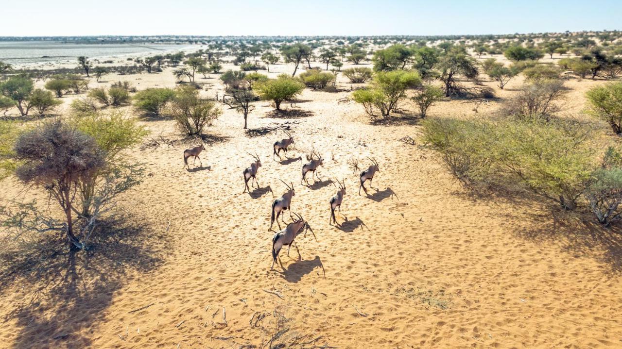 Bagatelle Kalahari Game Ranch Villa Hardap Eksteriør billede